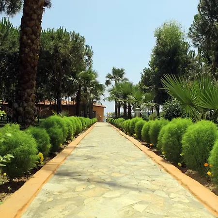 كلوب تورتاس بيتش - الشامل كليًا