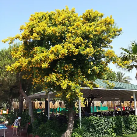 كلوب تورتاس بيتش - الشامل كليًا منتجع