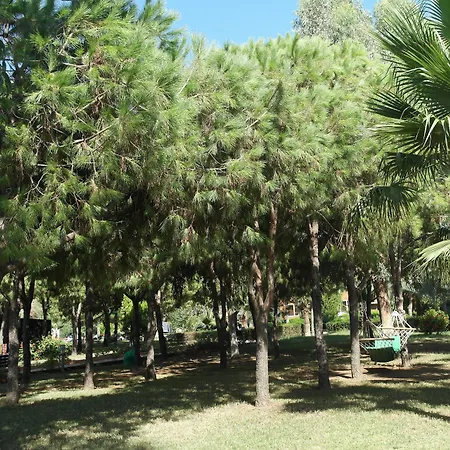 منتجع كلوب تورتاس بيتش - الشامل كليًا