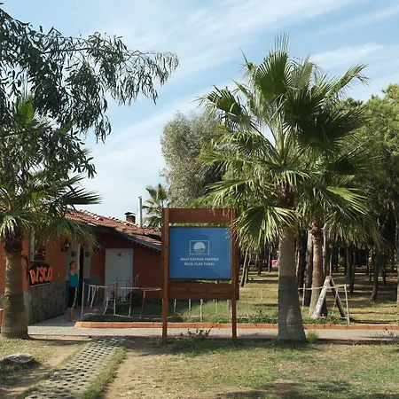 كلوب تورتاس بيتش - الشامل كليًا