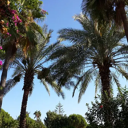 كلوب تورتاس بيتش - الشامل كليًا 4*